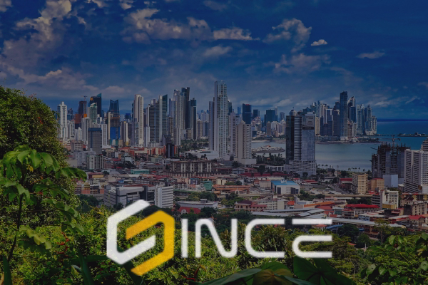 Estrategias marketing digital Panamá sectores logística turismo finanzas bienes raíces